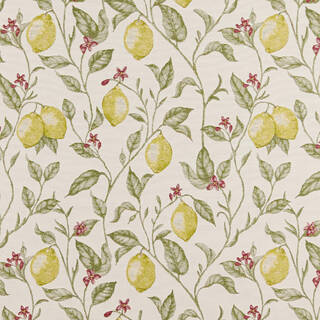   Solstice Dawn Fabric ** for Roman Blinds, Curtains, Tie-backs / and Cushion Covers